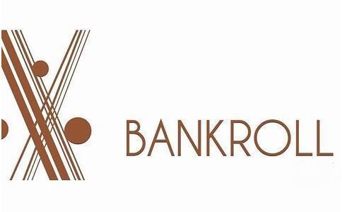 bankroll是什么意思？