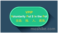 VPIP是什么意思
