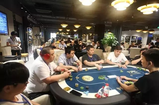 老虎杯第一季冠军领跑TPC第三季