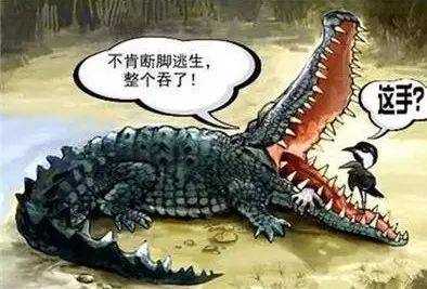 德州扑克锦标赛与现金游戏的区别