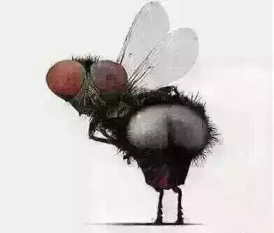 一本正经!打德扑要想有好运,一定要清楚这些秘籍和禁忌!