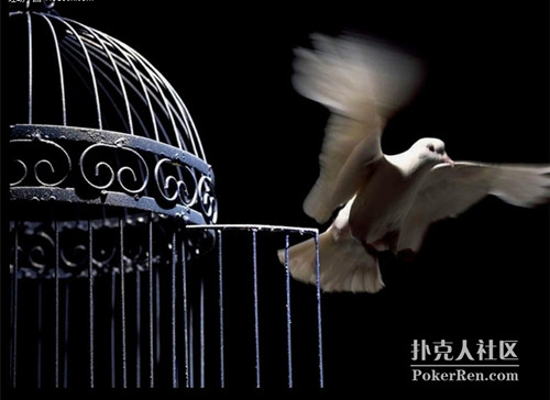 我为什么要从职业牌手转变成半职业牌手？